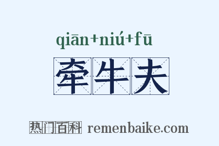 牵牛夫是什么意思的图片
